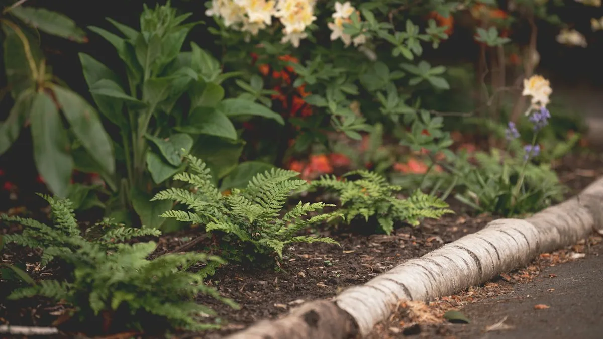 Idée bordure jardin